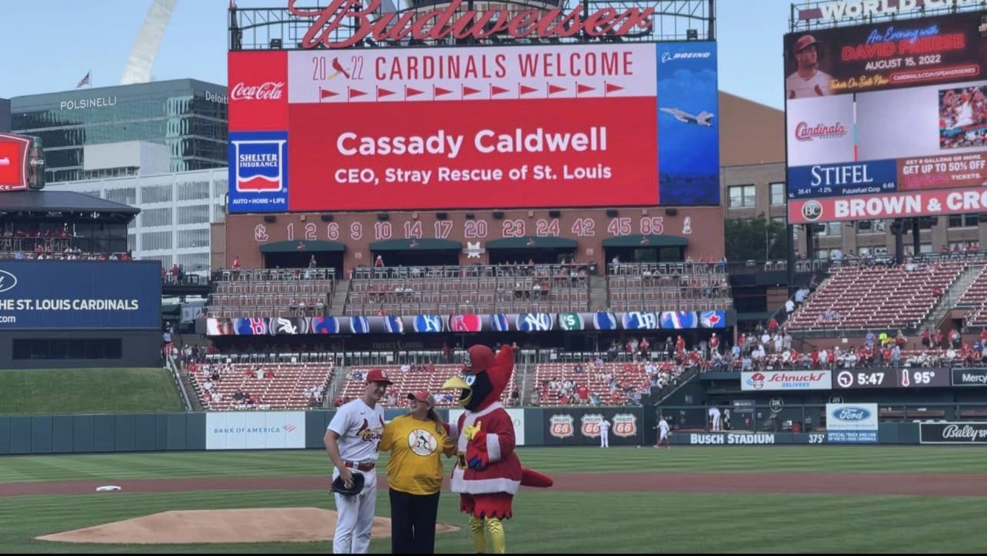 TITAN Women In Business and Leadership Awards Winner - Cassady Caldwell, CEO of Stray Rescue of St. Louis gallery