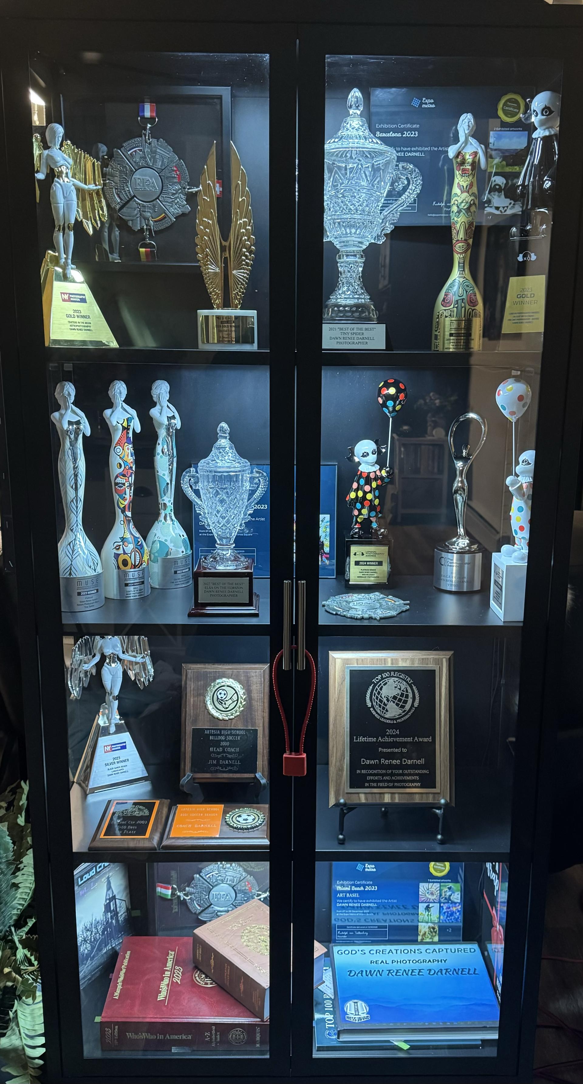 TITAN Women In Business Awards Winner - Dawn Renee Darnell gallery